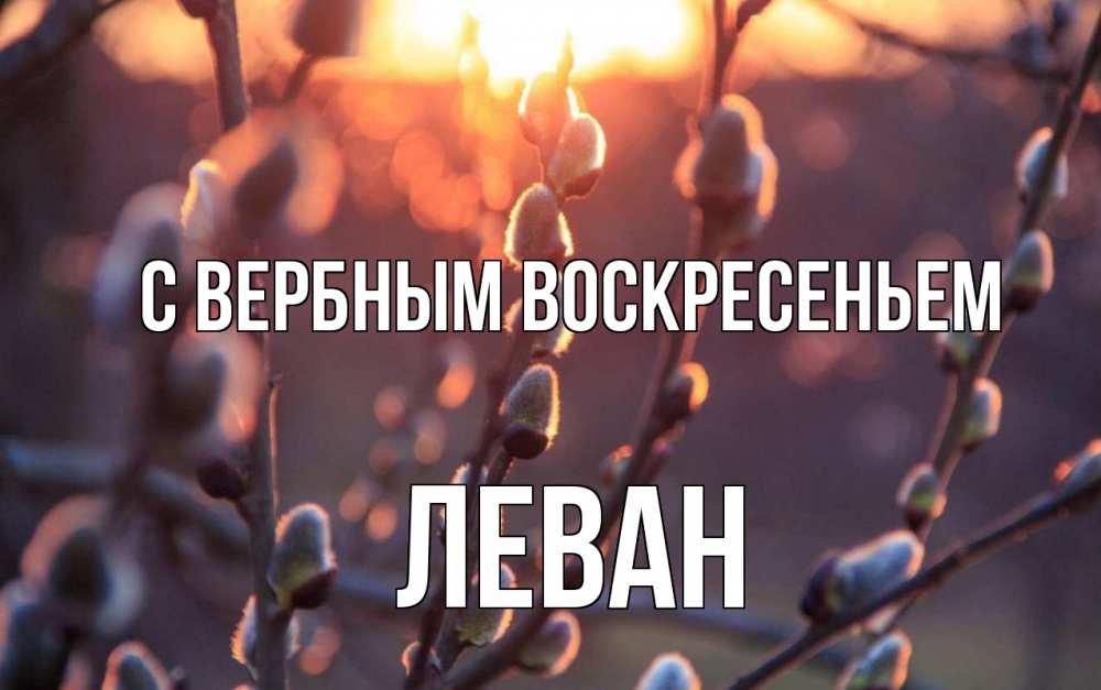 Открытка на каждый день с именем, Леван С вербным воскресеньем верба Прикольная открытка с пожеланием онлайн скачать бесплатно 