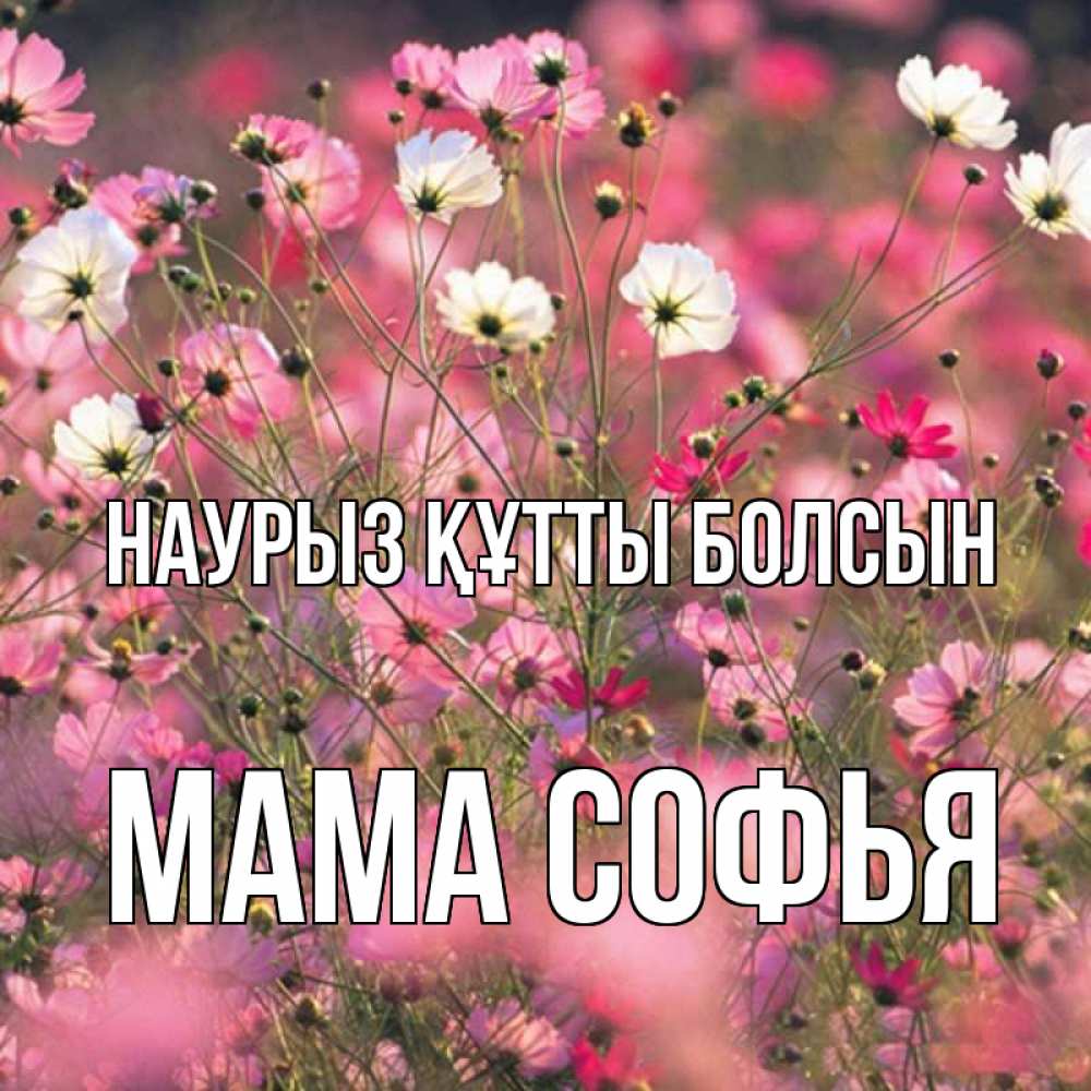 Открытка на каждый день с именем, Мама-Софья Наурыз құтты болсын красиво 1 Прикольная открытка с пожеланием онлайн скачать бесплатно 