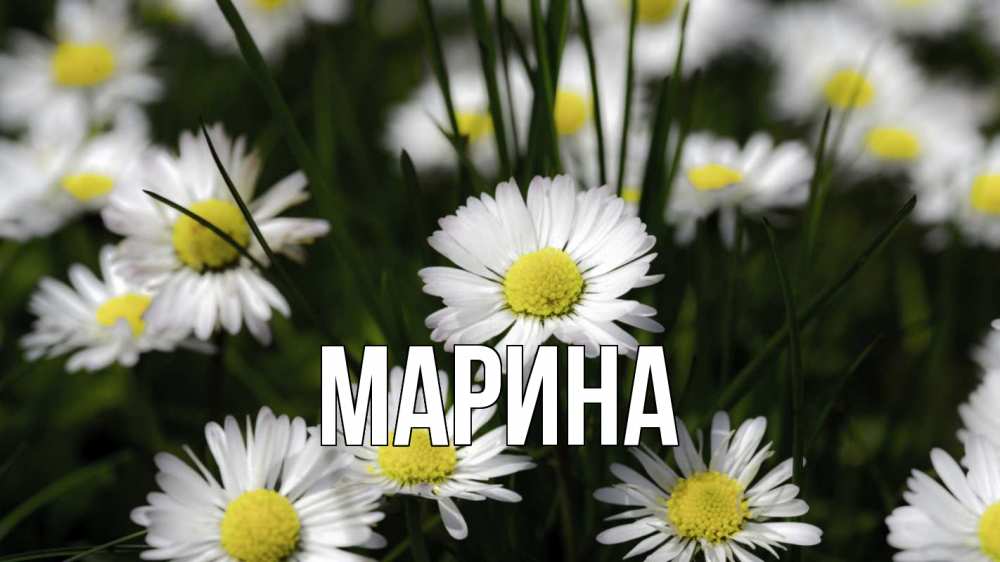 Открытка на каждый день с именем, Марина Главная с днем семьи  2 Прикольная открытка с пожеланием онлайн скачать бесплатно 