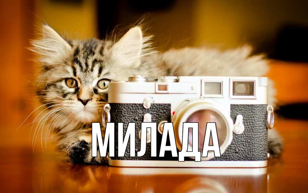 Открытка на каждый день с именем, Милада Главная с днем фотографа Прикольная открытка с пожеланием онлайн скачать бесплатно 