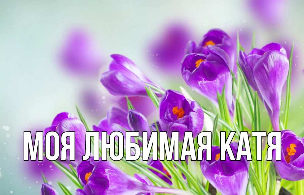 Открытка на каждый день с именем, Моя-любимая-Катя Главная 1 мая Прикольная открытка с пожеланием онлайн скачать бесплатно 
