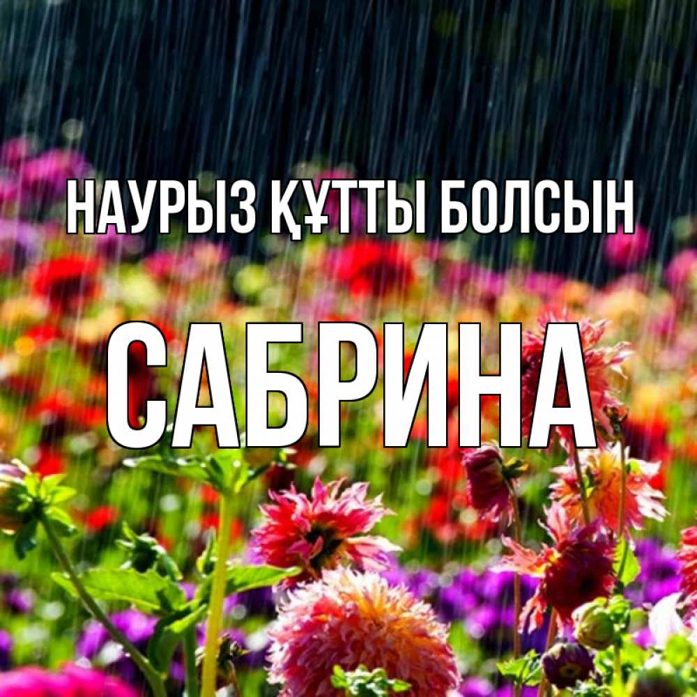 Открытка на каждый день с именем, Сабрина Наурыз құтты болсын цветы под дождиком к наурызу Прикольная открытка с пожеланием онлайн скачать бесплатно 