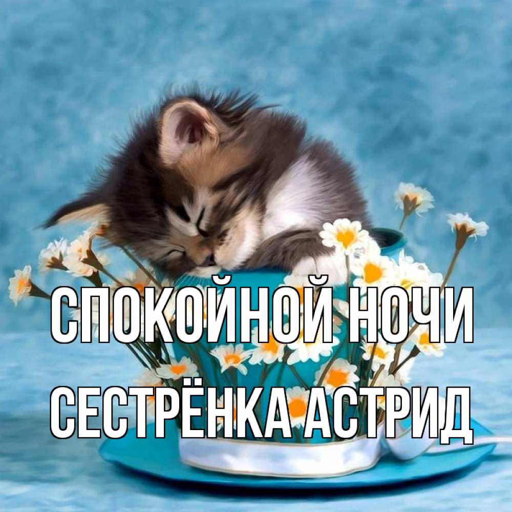 Открытка на каждый день с именем, Сестрёнка-Астрид Спокойной ночи котенок спит в кружке с блюдцем Прикольная открытка с пожеланием онлайн скачать бесплатно 