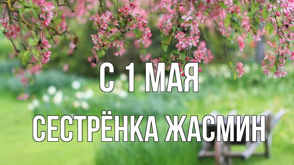 Открытка на каждый день с именем, Сестрёнка-Жасмин С 1 мая С 1 мая Прикольная открытка с пожеланием онлайн скачать бесплатно 