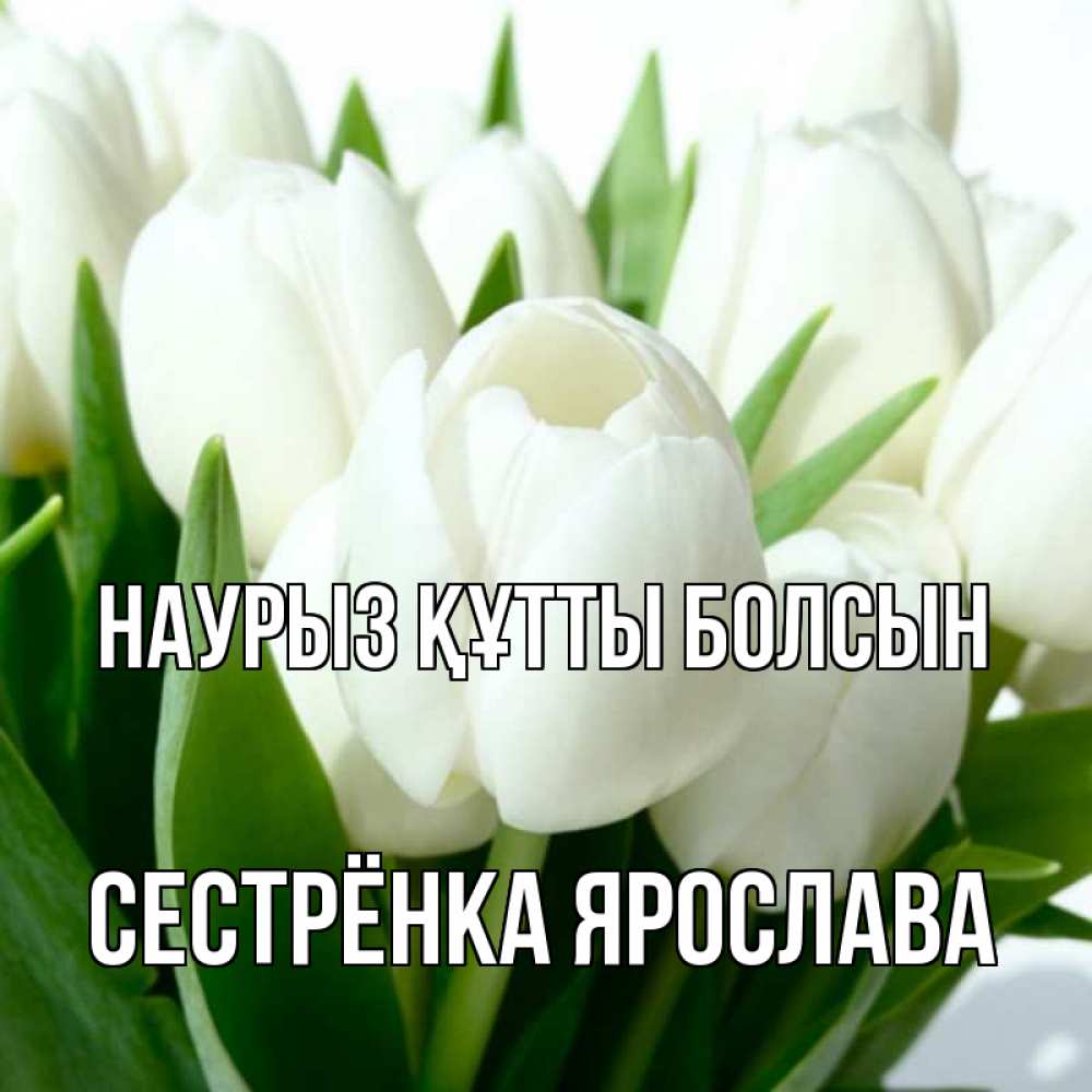 Открытка на каждый день с именем, Сестрёнка-Ярослава Наурыз құтты болсын цветы Прикольная открытка с пожеланием онлайн скачать бесплатно 