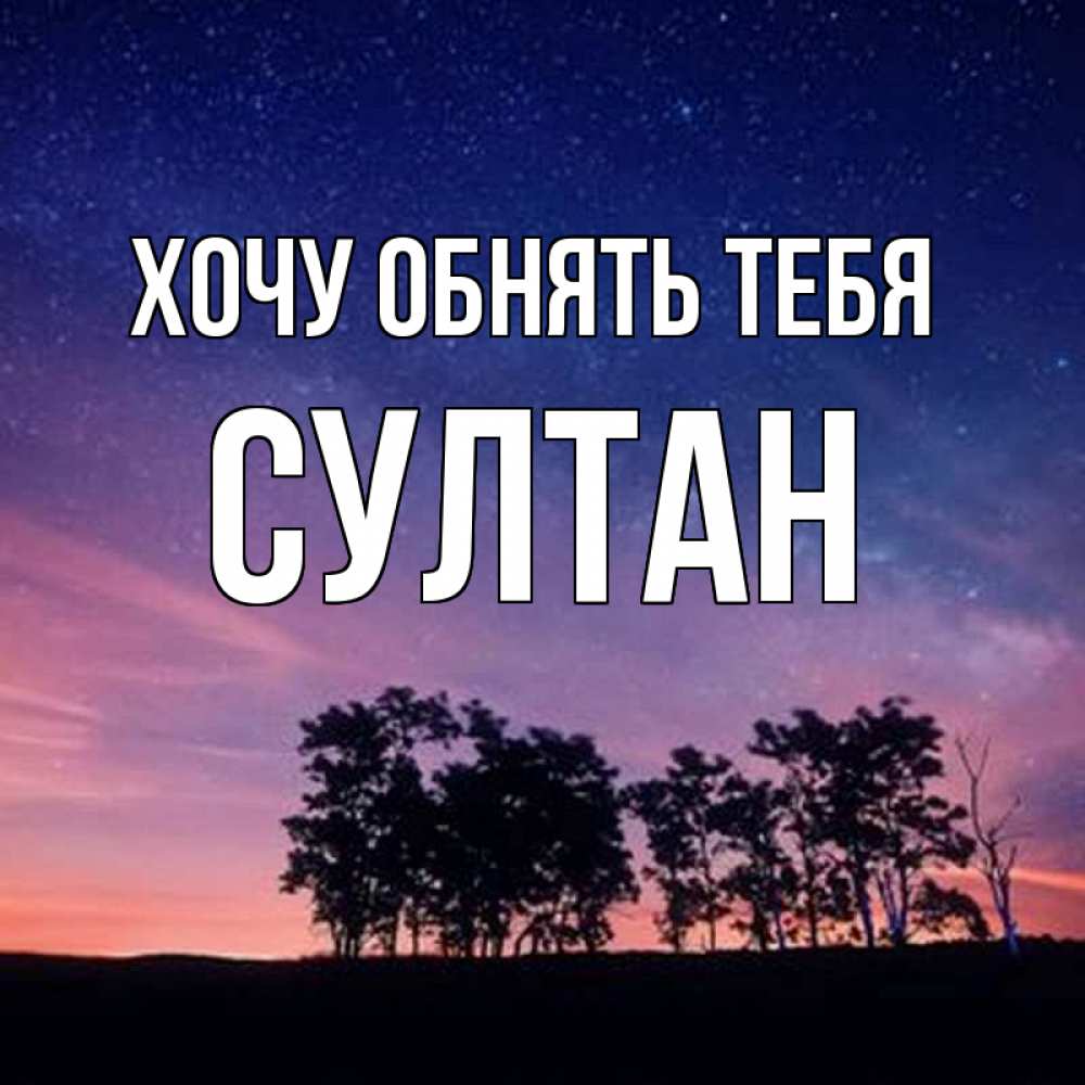 Открытка на каждый день с именем, Султан Хочу обнять тебя силуэты деревьев Прикольная открытка с пожеланием онлайн скачать бесплатно 