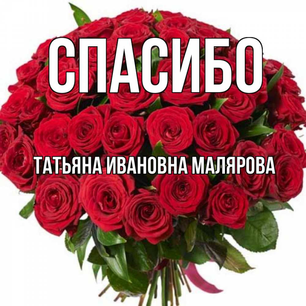 Открытка на каждый день с именем, ТАТЬЯНА-ИВАНОВНА-МАЛЯРОВА Спасибо букет красных роз Прикольная открытка с пожеланием онлайн скачать бесплатно 