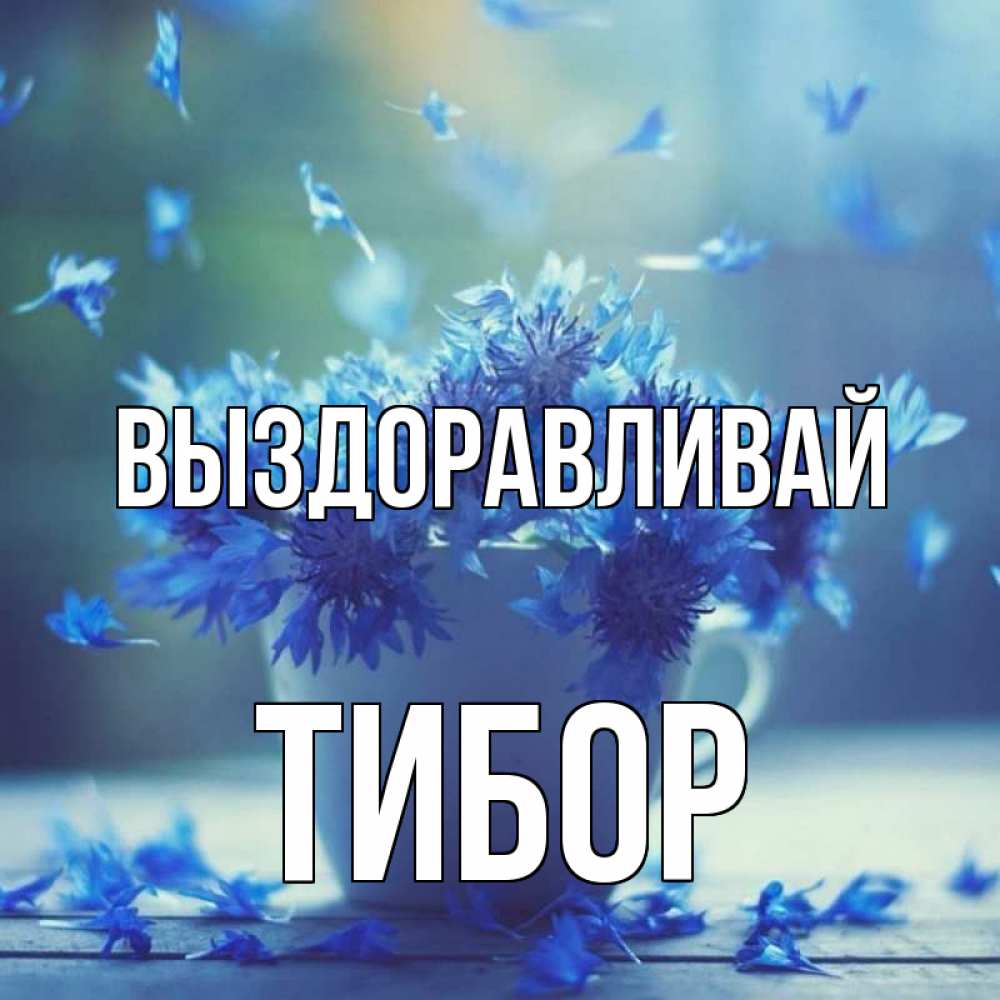 Открытка на каждый день с именем, Тибор Выздоравливай кружка с зельем и цветами Прикольная открытка с пожеланием онлайн скачать бесплатно 