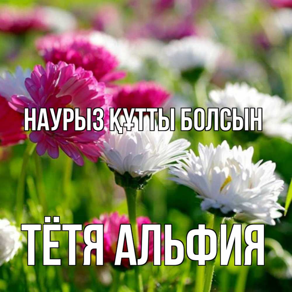 Открытка на каждый день с именем, Тётя-Альфия Наурыз құтты болсын наурыз Прикольная открытка с пожеланием онлайн скачать бесплатно 