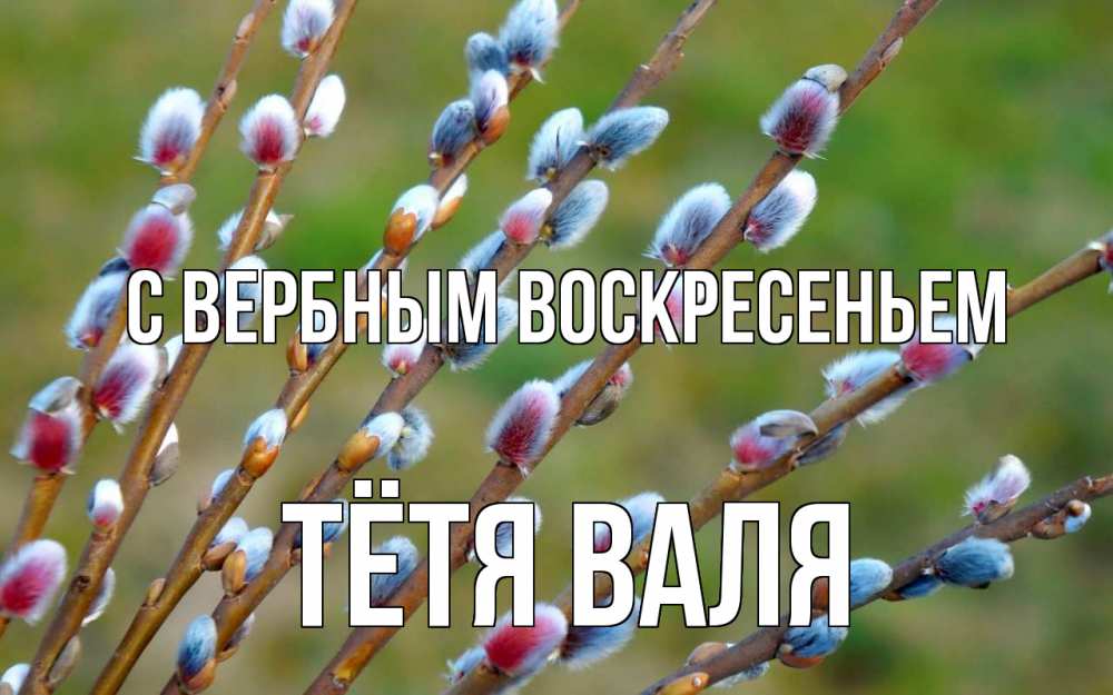 Открытка на каждый день с именем, Тётя-Валя С вербным воскресеньем верба Прикольная открытка с пожеланием онлайн скачать бесплатно 
