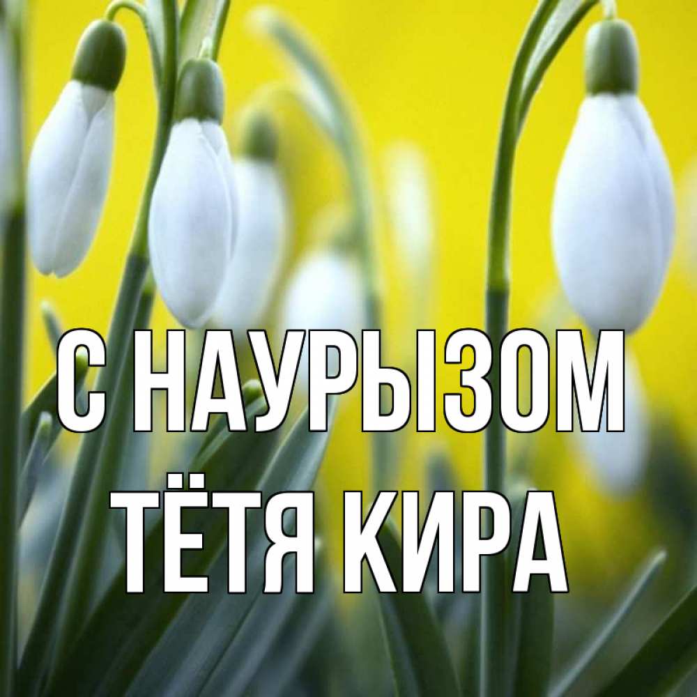 Открытка на каждый день с именем, Тётя-Кира С наурызом весенние цветы Прикольная открытка с пожеланием онлайн скачать бесплатно 