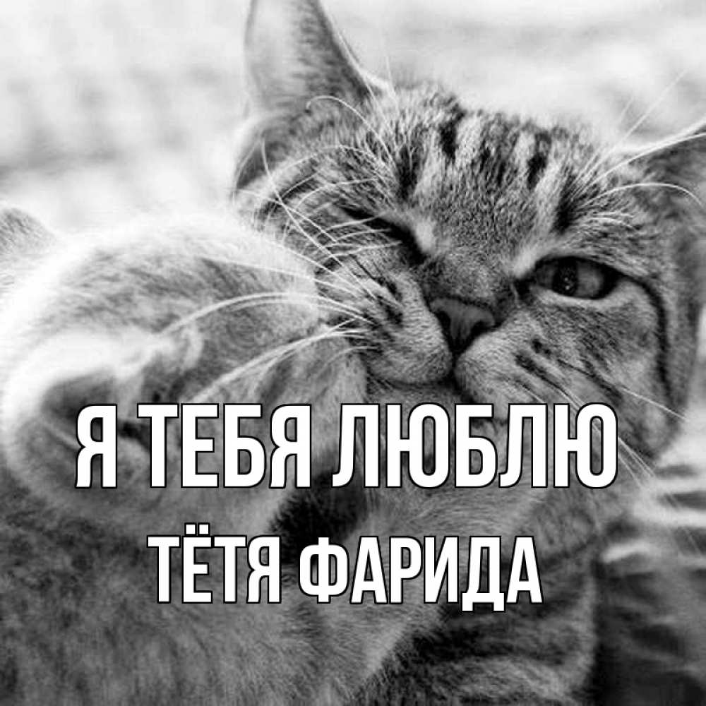 Открытка на каждый день с именем, Тётя-Фарида Я тебя люблю коты Прикольная открытка с пожеланием онлайн скачать бесплатно 
