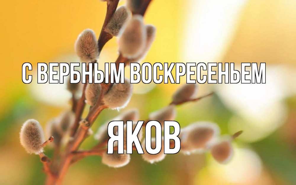 Открытка на каждый день с именем, Яков С вербным воскресеньем верба Прикольная открытка с пожеланием онлайн скачать бесплатно 