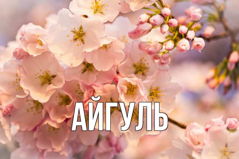 Открытка на каждый день с именем, Айгуль Главная С 1 мая Прикольная открытка с пожеланием онлайн скачать бесплатно 