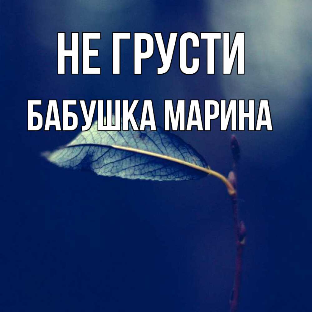 Открытка на каждый день с именем, Бабушка-Марина Не грусти растение Прикольная открытка с пожеланием онлайн скачать бесплатно 