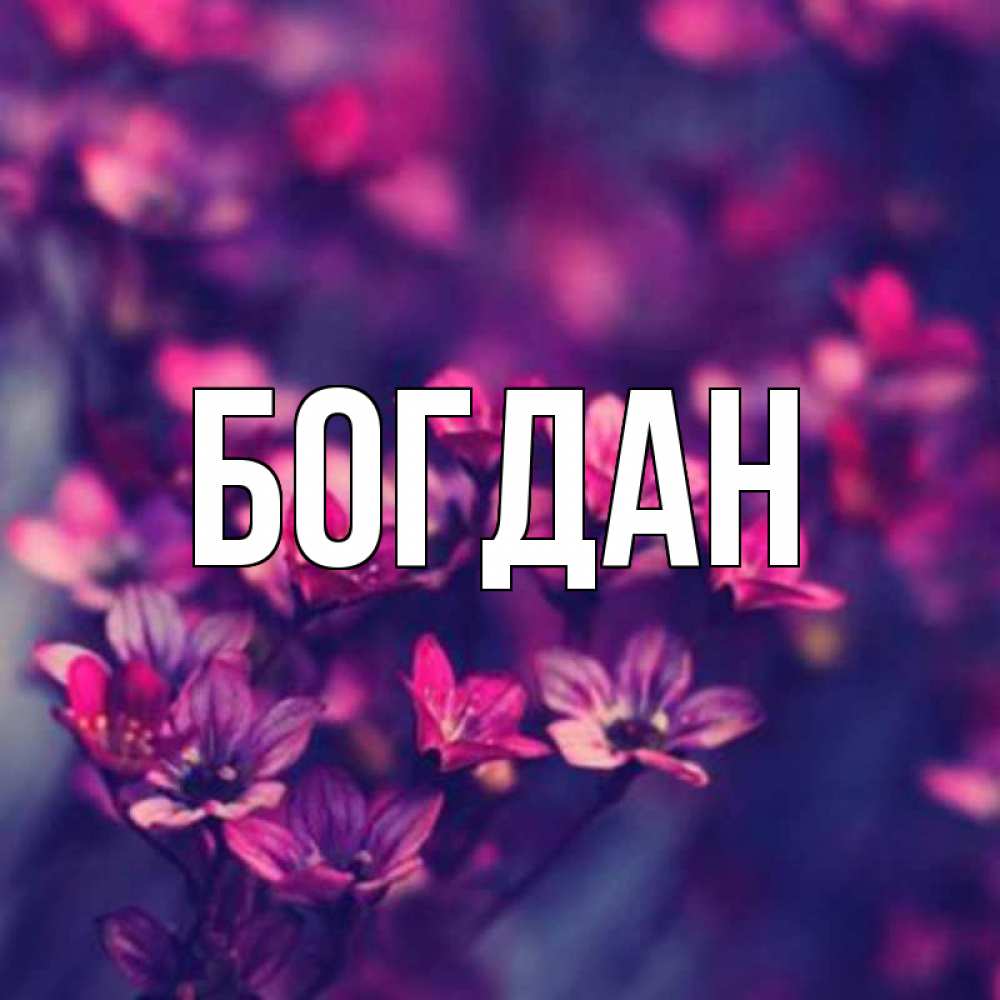 Картинки Богдан