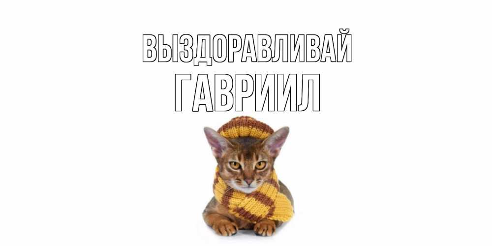 Открытка на каждый день с именем, Гавриил Выздоравливай родные не болейте Прикольная открытка с пожеланием онлайн скачать бесплатно 