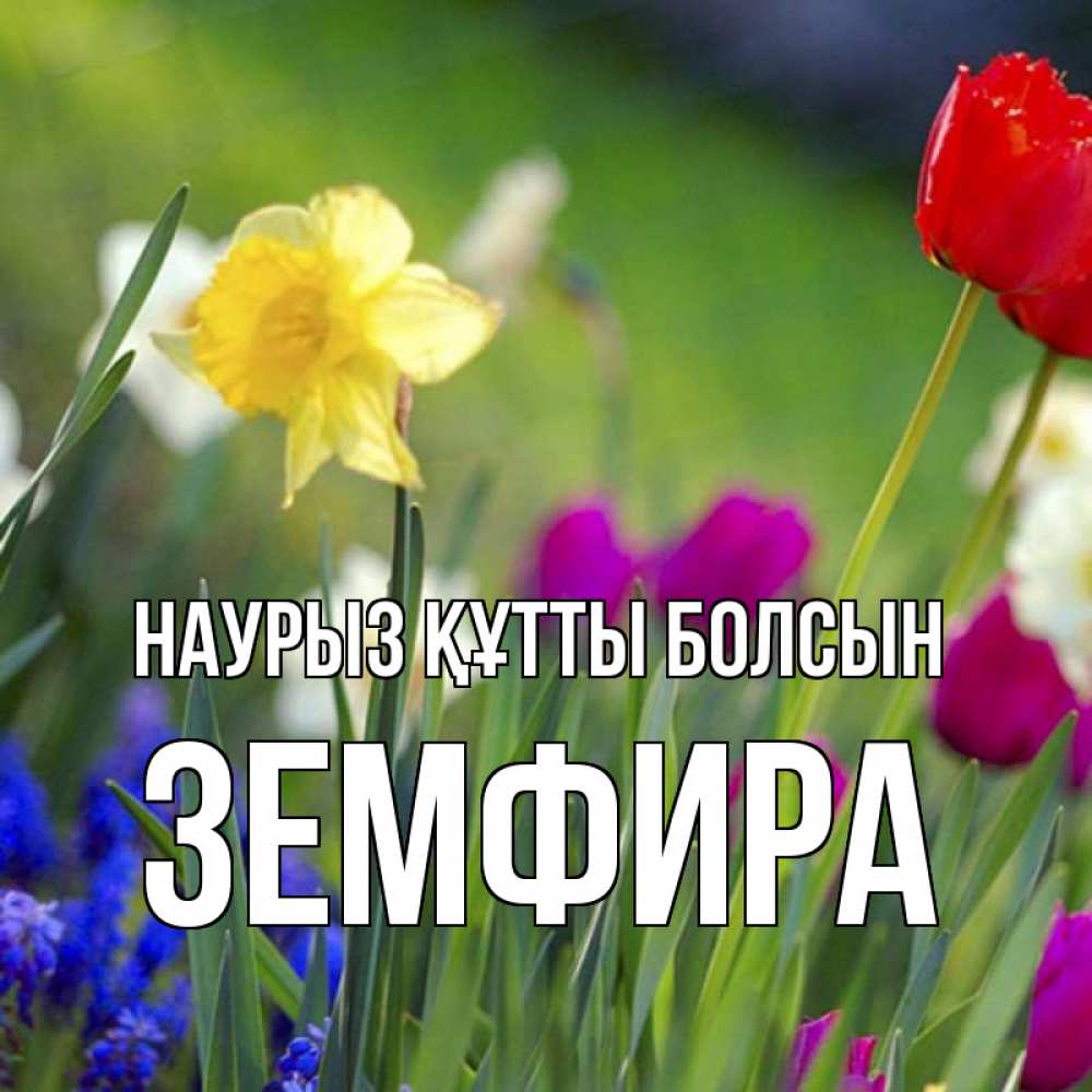 Открытка на каждый день с именем, Земфира Наурыз құтты болсын наурыз  3 открытки Прикольная открытка с пожеланием онлайн скачать бесплатно 