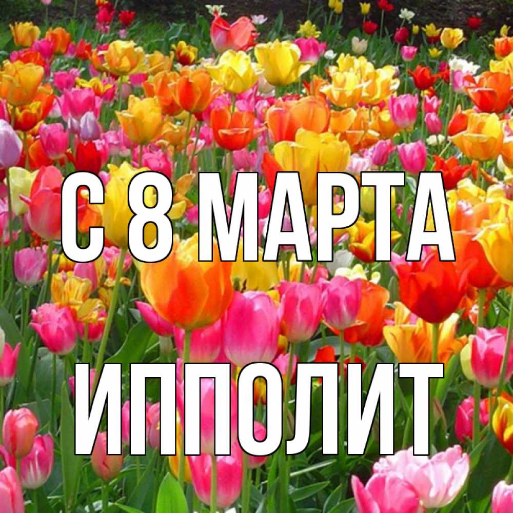 Открытка на каждый день с именем, Ипполит С 8 МАРТА на международный женский день Прикольная открытка с пожеланием онлайн скачать бесплатно 