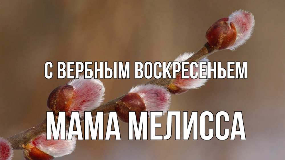 Открытка на каждый день с именем, Мама-Мелисса С вербным воскресеньем верба Прикольная открытка с пожеланием онлайн скачать бесплатно 