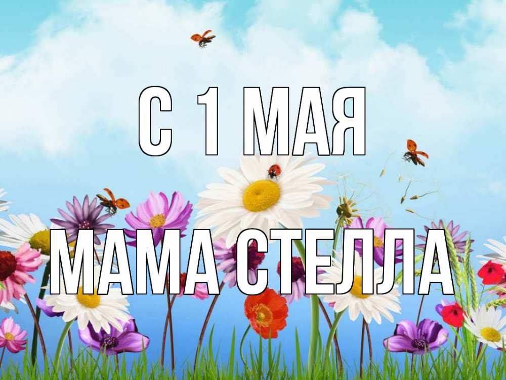 Открытка на каждый день с именем, Мама-Стелла С 1 мая С 1 мая Прикольная открытка с пожеланием онлайн скачать бесплатно 