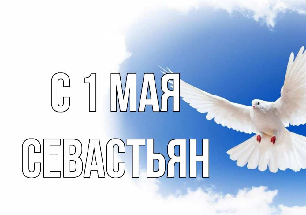 Открытка на каждый день с именем, Севастьян С 1 мая С 1 мая Прикольная открытка с пожеланием онлайн скачать бесплатно 
