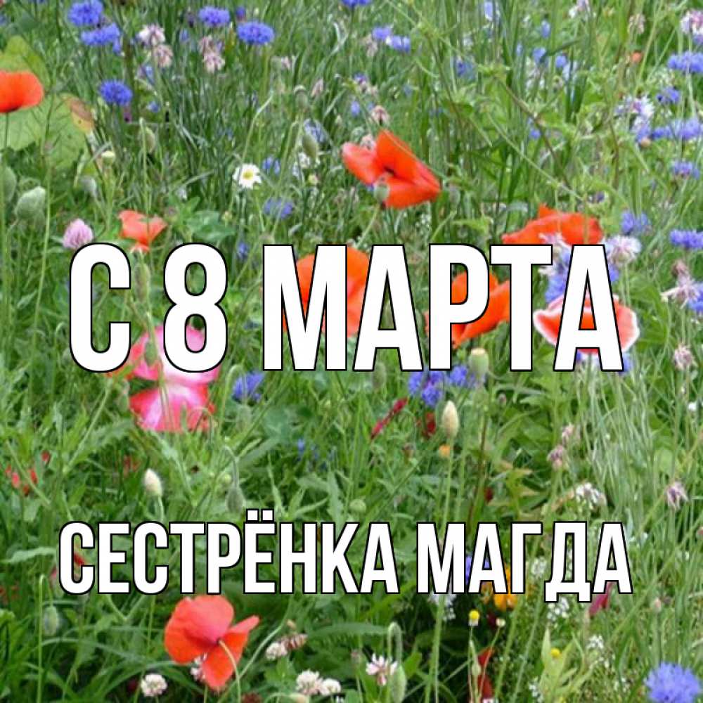 Открытка на каждый день с именем, Сестрёнка-Магда С 8 марта международный женский день 4 Прикольная открытка с пожеланием онлайн скачать бесплатно 