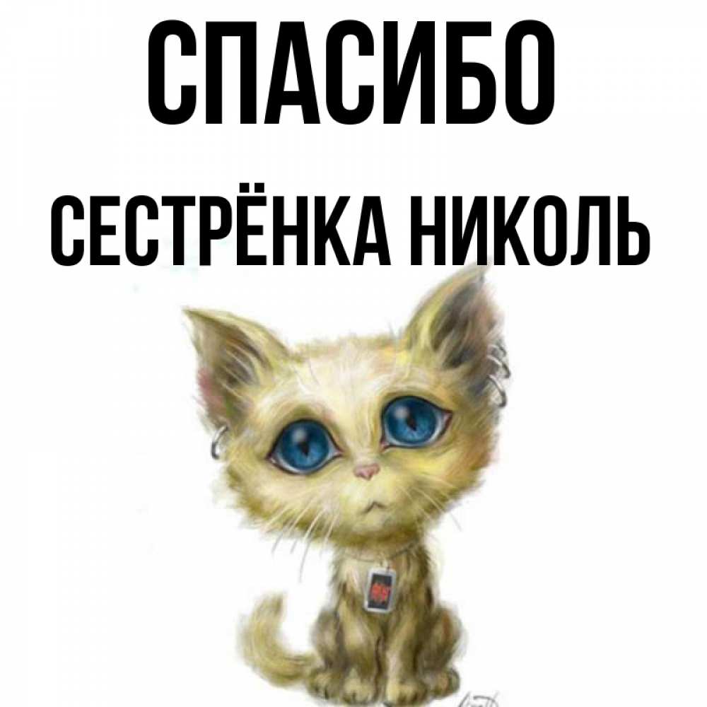 Открытка на каждый день с именем, Сестрёнка-Николь Спасибо рисованный кот благодарит вас Прикольная открытка с пожеланием онлайн скачать бесплатно 