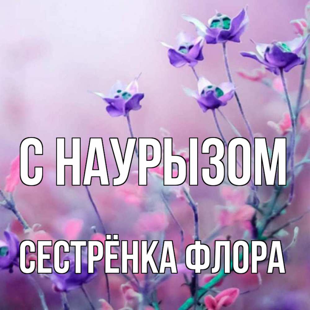 Открытка на каждый день с именем, Сестрёнка-Флора С наурызом международный женский день 2 Прикольная открытка с пожеланием онлайн скачать бесплатно 