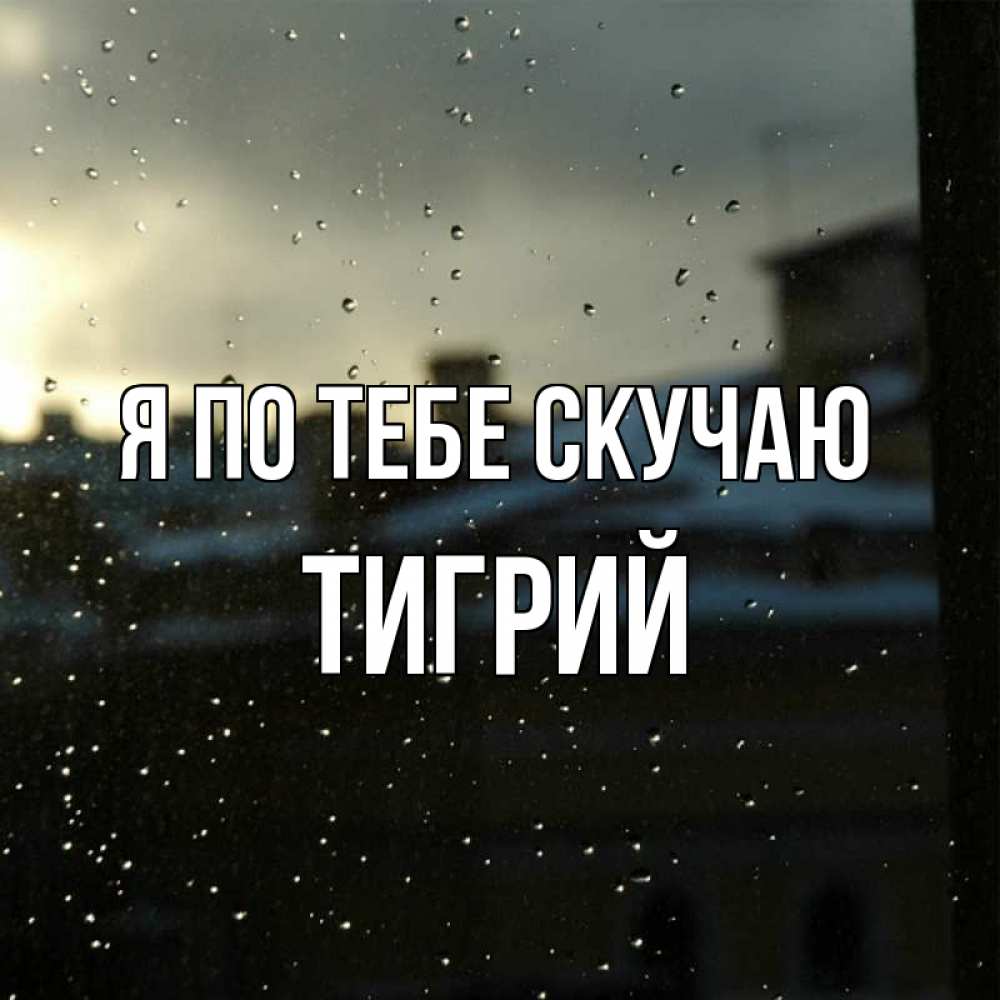 Открытка на каждый день с именем, Тигрий Я по тебе скучаю капли на стекле Прикольная открытка с пожеланием онлайн скачать бесплатно 