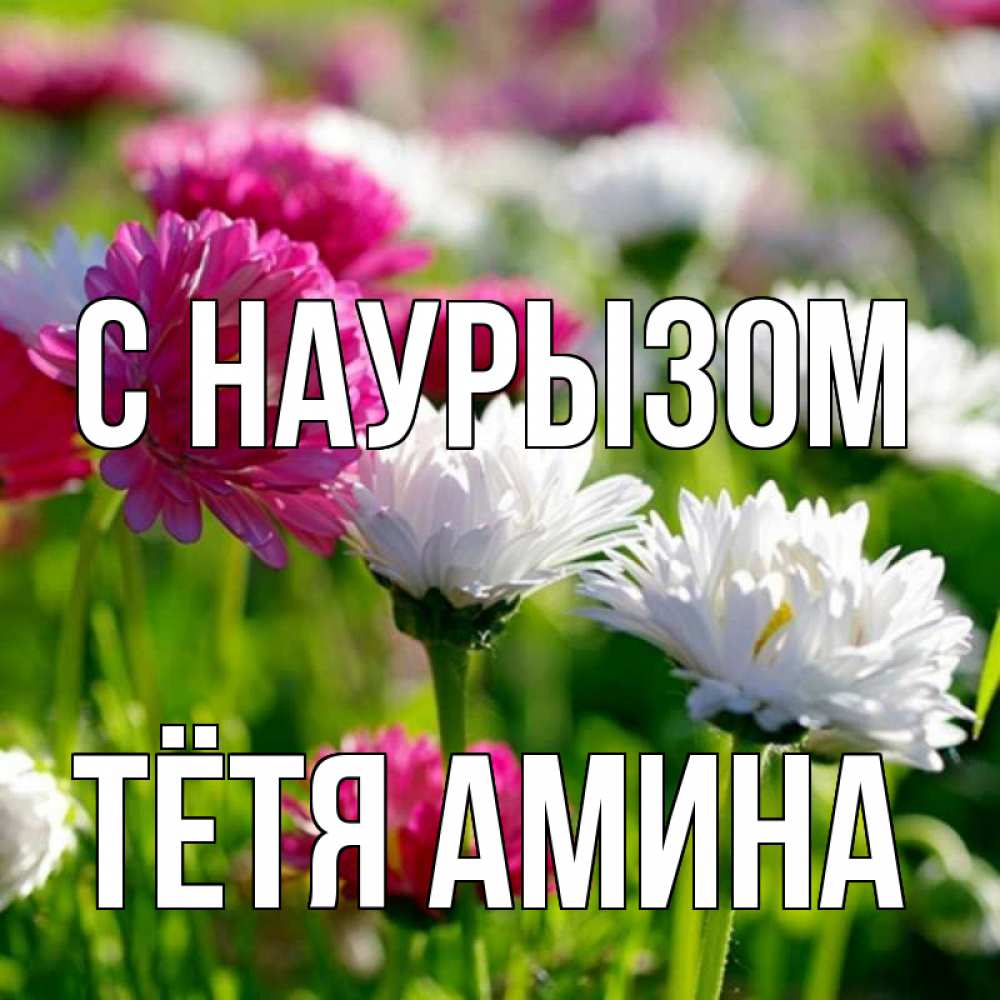 Открытка на каждый день с именем, Тётя-Амина С наурызом праздник весны наурыз красота Прикольная открытка с пожеланием онлайн скачать бесплатно 