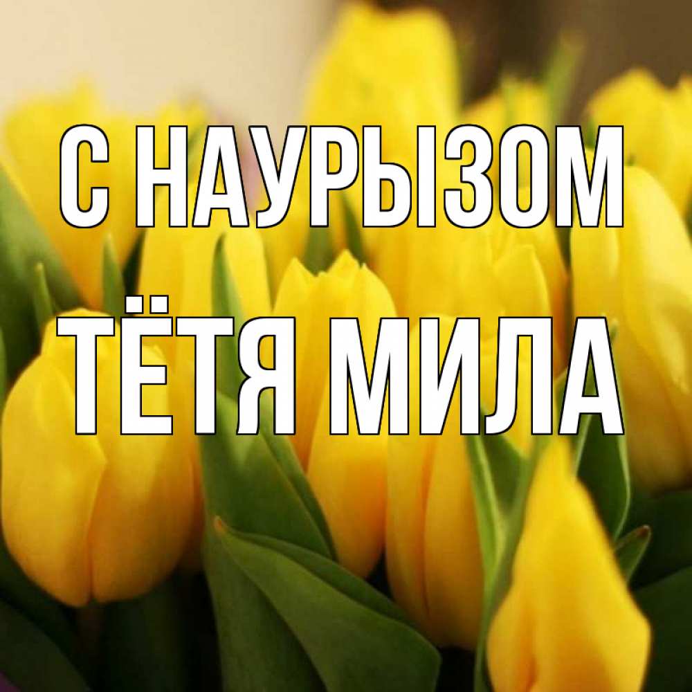 Открытка на каждый день с именем, Тётя-Мила С наурызом цветы Прикольная открытка с пожеланием онлайн скачать бесплатно 