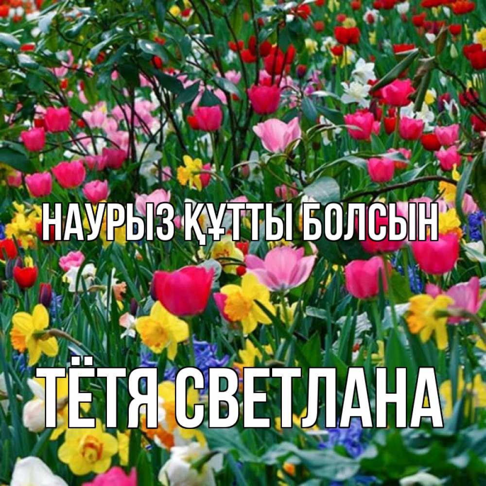 Открытка на каждый день с именем, Тётя-Светлана Наурыз құтты болсын с наурызом поздравления для женщины Прикольная открытка с пожеланием онлайн скачать бесплатно 
