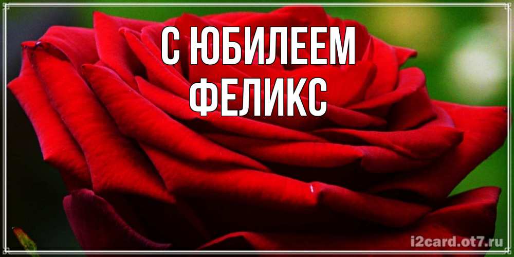 Открытка на каждый день с именем, Феликс С юбилеем розочка очень красивая Прикольная открытка с пожеланием онлайн скачать бесплатно 