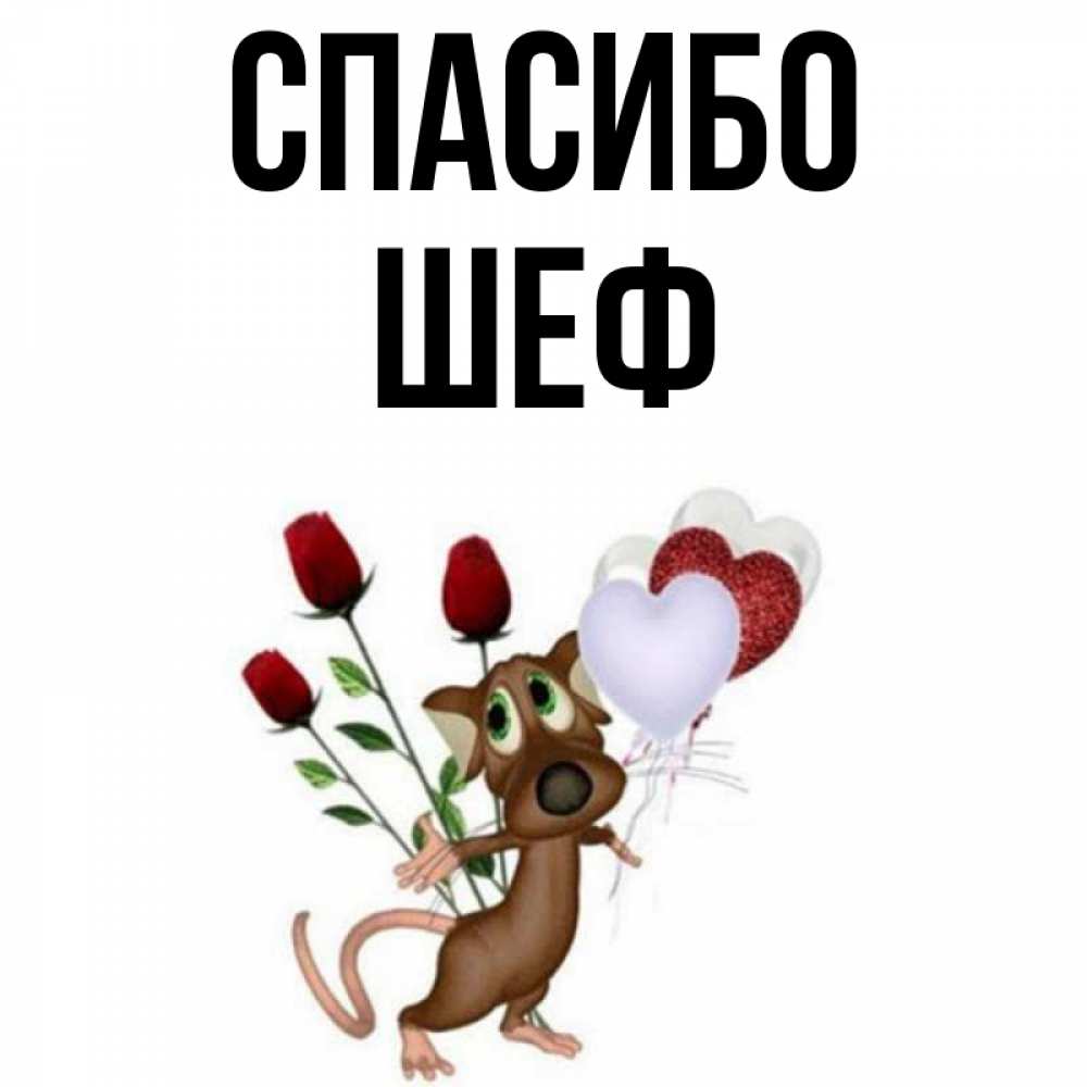 Открытка на каждый день с именем, Шеф Спасибо песик с шариками в форме сердец Прикольная открытка с пожеланием онлайн скачать бесплатно 
