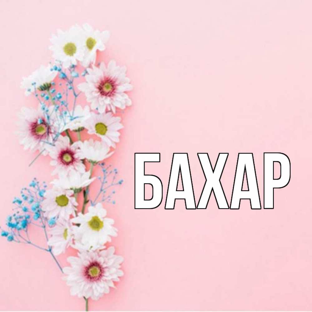 Открытка на каждый день с именем, Бахар Главная цветы с подписью Прикольная открытка с пожеланием онлайн скачать бесплатно 