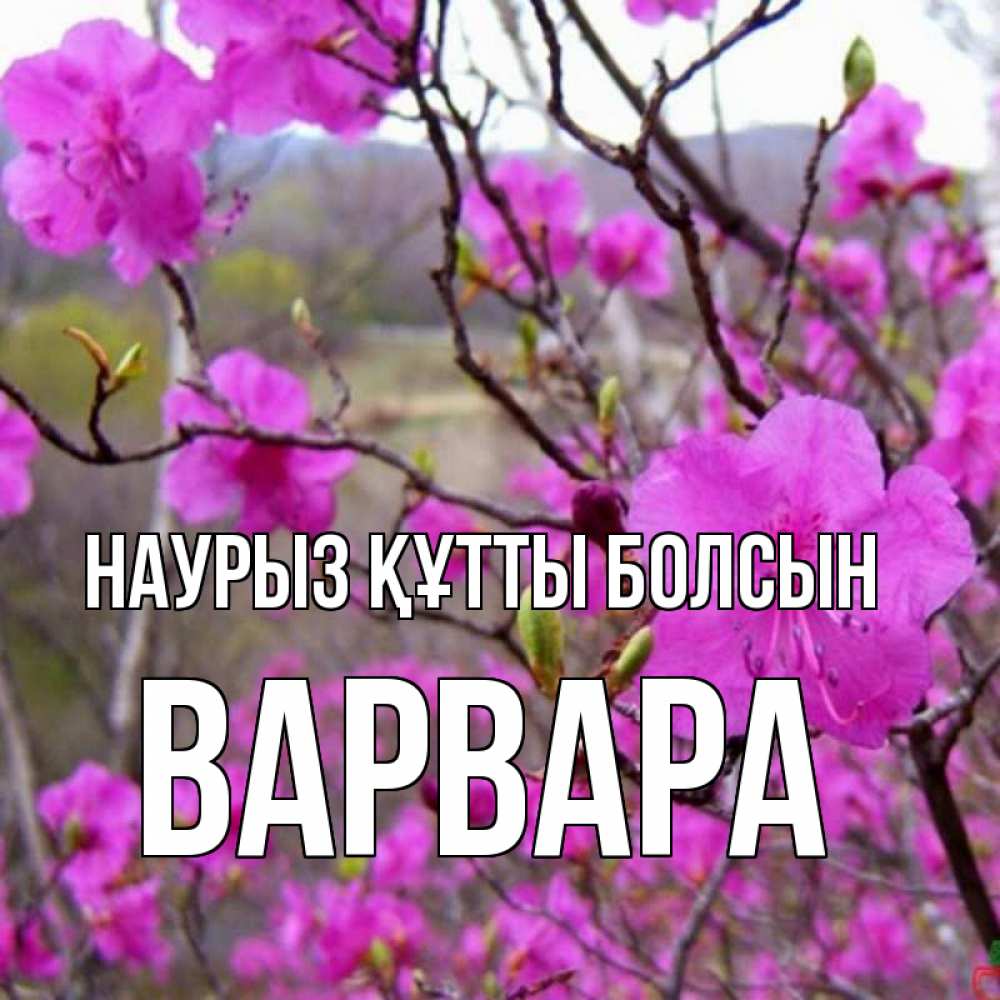 Открытка на каждый день с именем, Варвара Наурыз құтты болсын наурыз мейрамы кутты болсын Прикольная открытка с пожеланием онлайн скачать бесплатно 