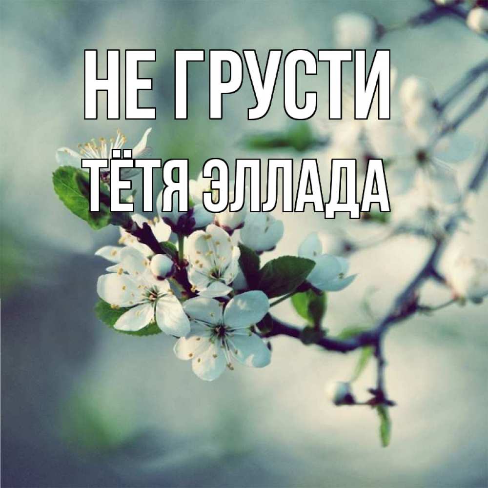 Открытка на каждый день с именем, Тётя-Эллада Не грусти яблоня в цвету 1 Прикольная открытка с пожеланием онлайн скачать бесплатно 