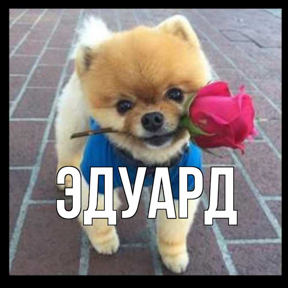 Картинка  с именем , Эдуард