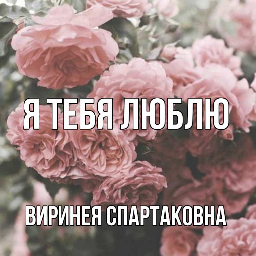 Открытка с именем, Виринея Спартаковна, Я тебя люблю