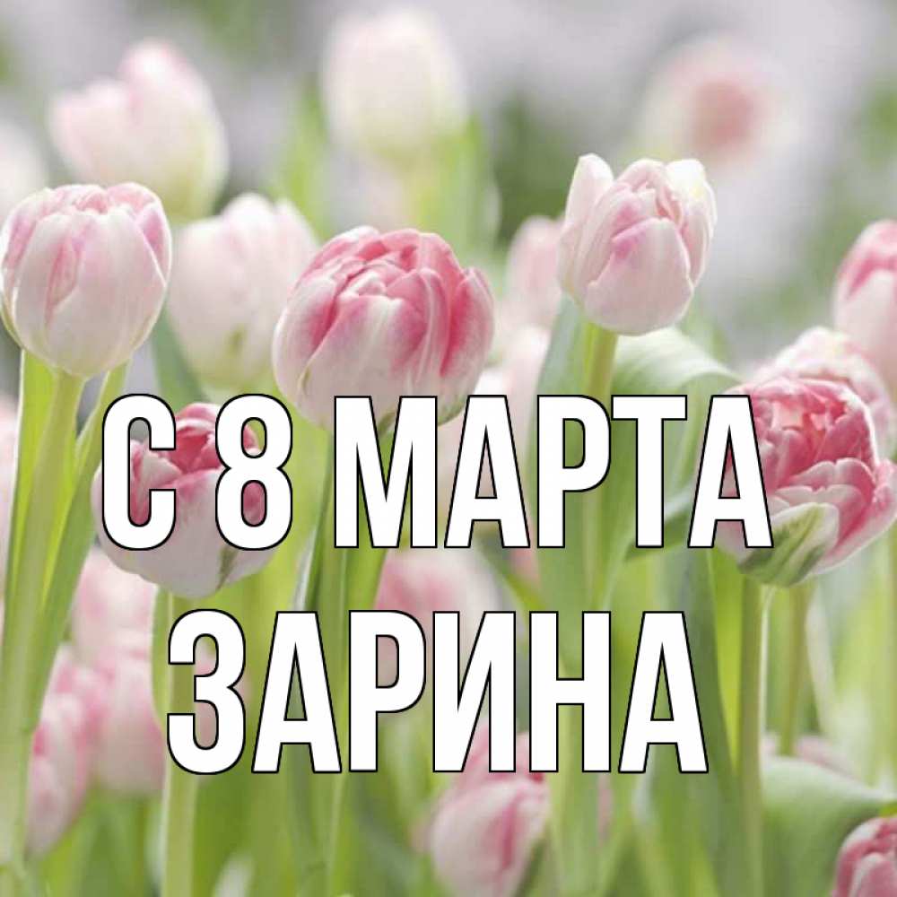 Открытка на каждый день с именем, Зарина С 8 МАРТА цветы Прикольная открытка с пожеланием онлайн скачать бесплатно 