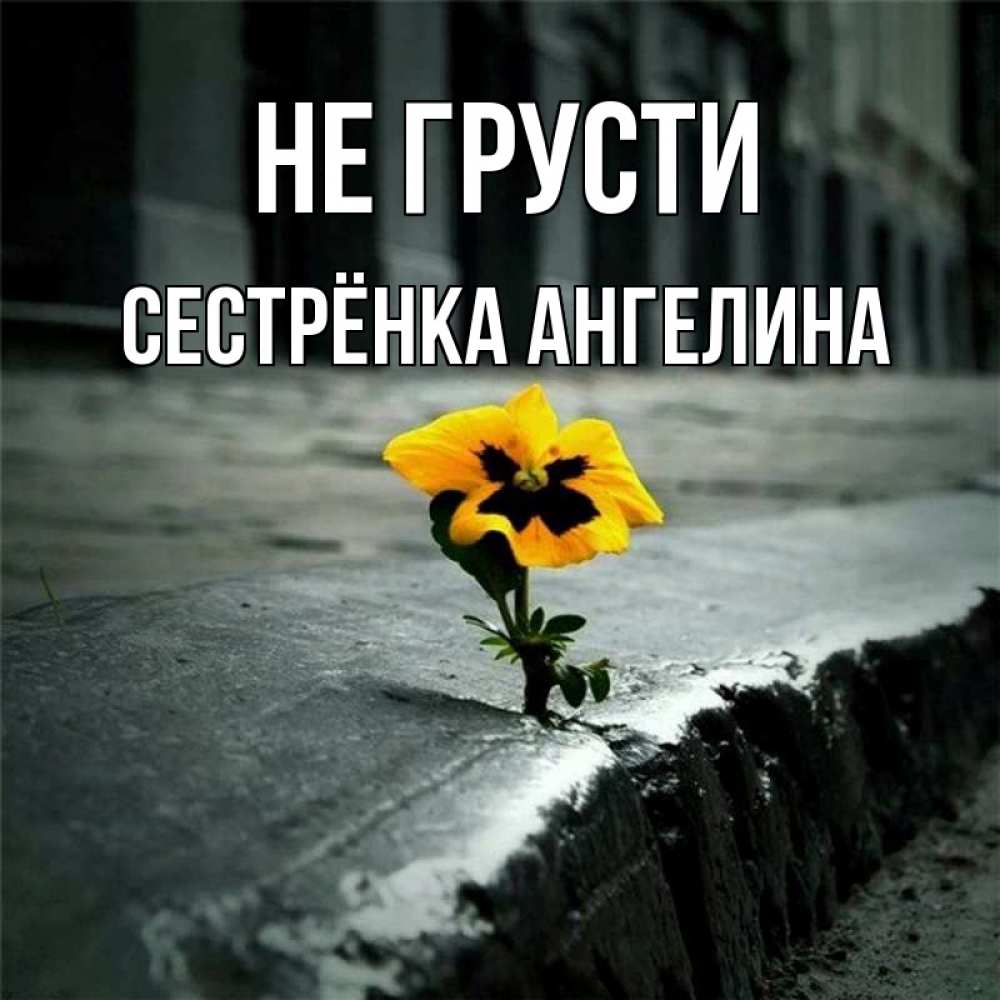 Открытка на каждый день с именем, Сестрёнка-Ангелина Не грусти не сдавайся Прикольная открытка с пожеланием онлайн скачать бесплатно 