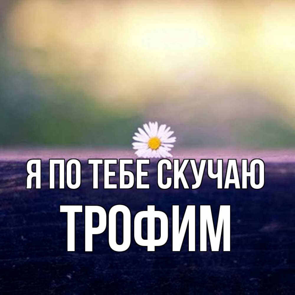 Открытка на каждый день с именем, Трофим Я по тебе скучаю приходи в гости Прикольная открытка с пожеланием онлайн скачать бесплатно 
