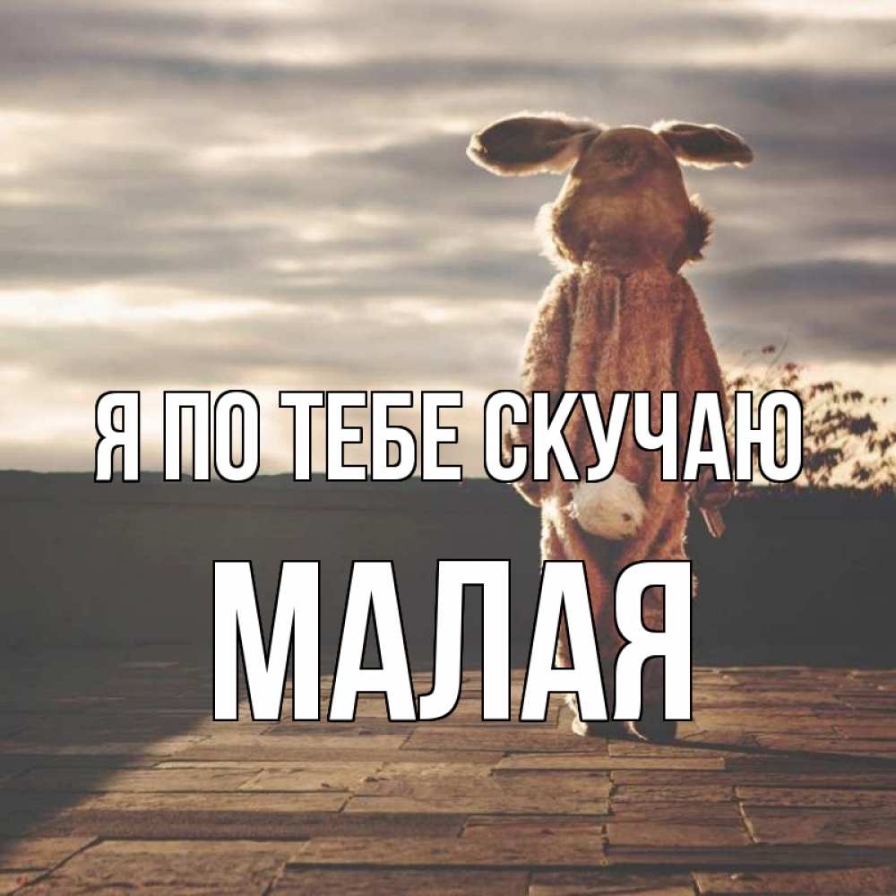 Имя малай