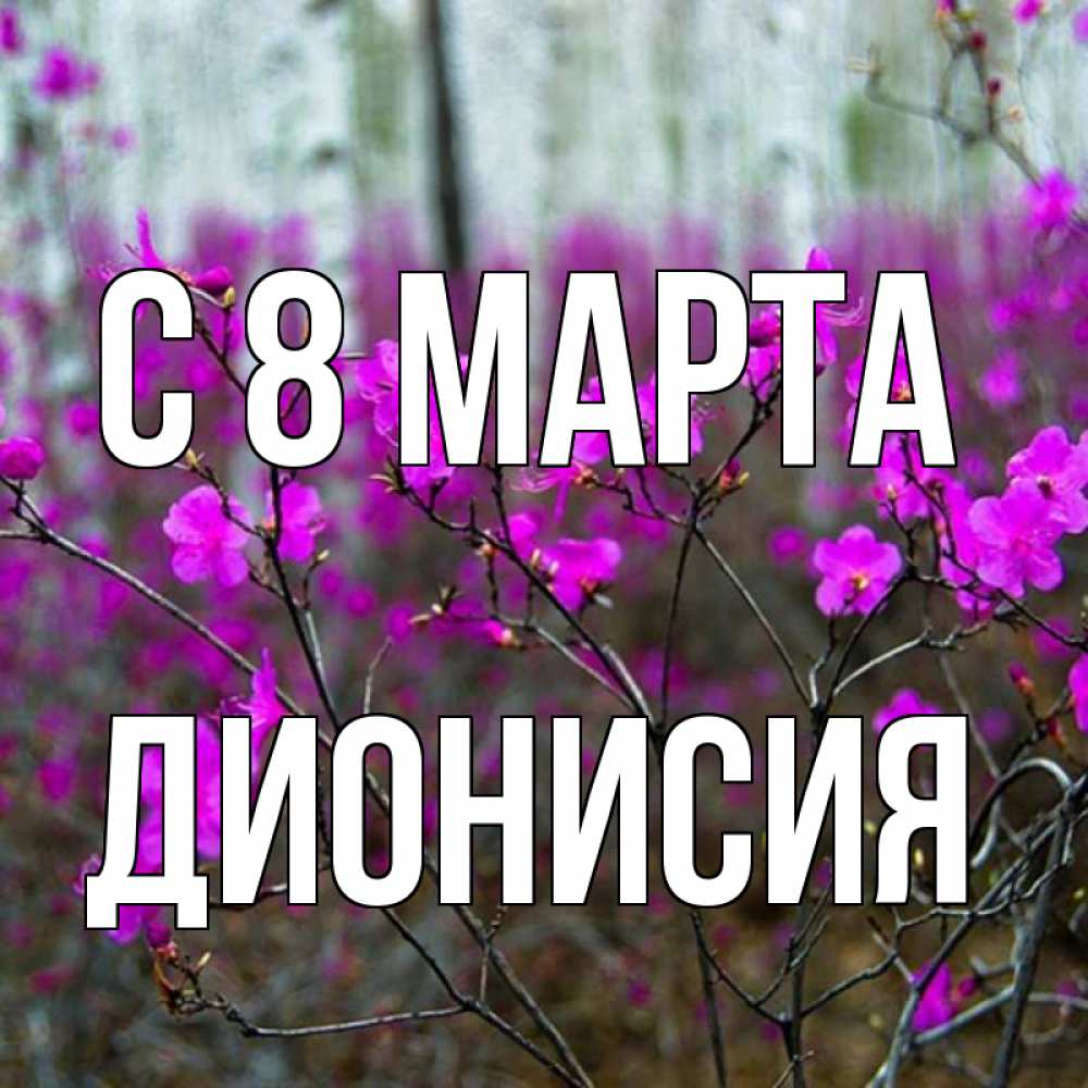 Открытка на каждый день с именем, Дионисия С 8 марта дикие цветы Прикольная открытка с пожеланием онлайн скачать бесплатно 