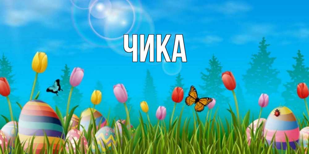 Открытка на каждый день с именем, Чика Главная небо и тюльпаны с бабочкой Прикольная открытка с пожеланием онлайн скачать бесплатно 