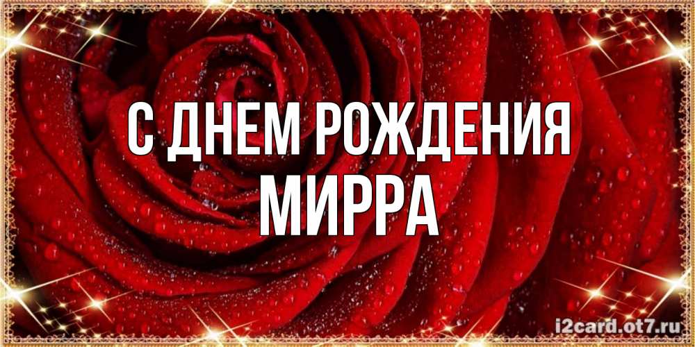 Открытка на каждый день с именем, Мирра С днем рождения роса на розе блестящая в лучах солнца Прикольная открытка с пожеланием онлайн скачать бесплатно 