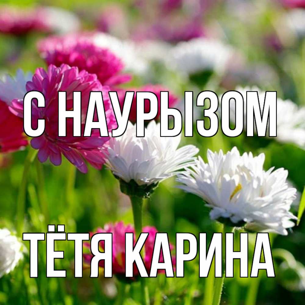 Открытка на каждый день с именем, Тётя-Карина С наурызом праздник весны наурыз красота Прикольная открытка с пожеланием онлайн скачать бесплатно 