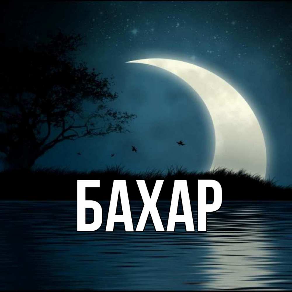 Картинка  с именем , Бахар