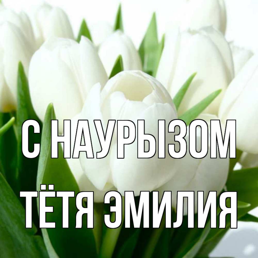 Открытка на каждый день с именем, Тётя-Эмилия С наурызом цветы Прикольная открытка с пожеланием онлайн скачать бесплатно 